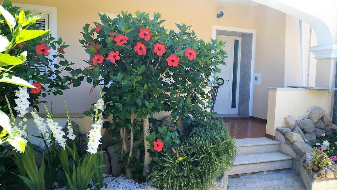 Casa Dolce Hibiscus Apartment Olbia Bagian luar foto