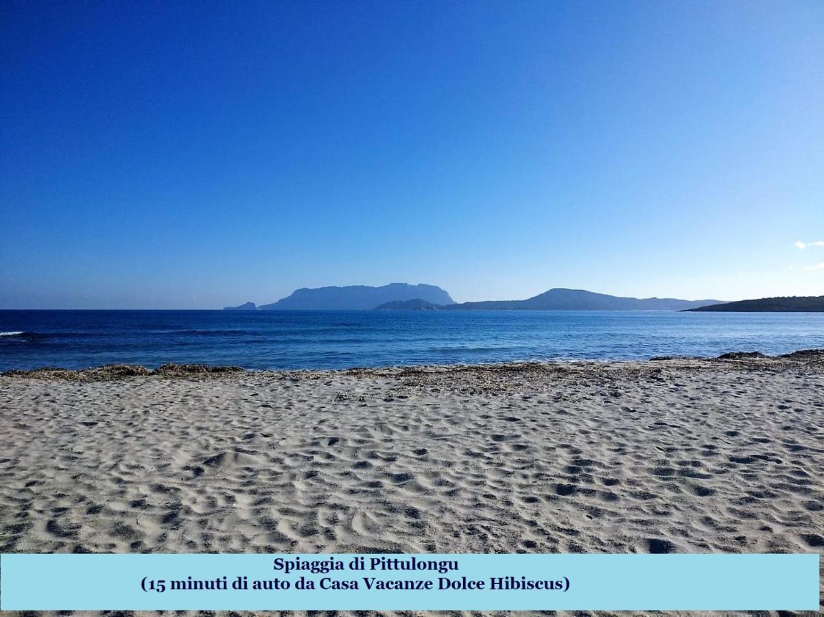 Casa Dolce Hibiscus Apartment Olbia Bagian luar foto