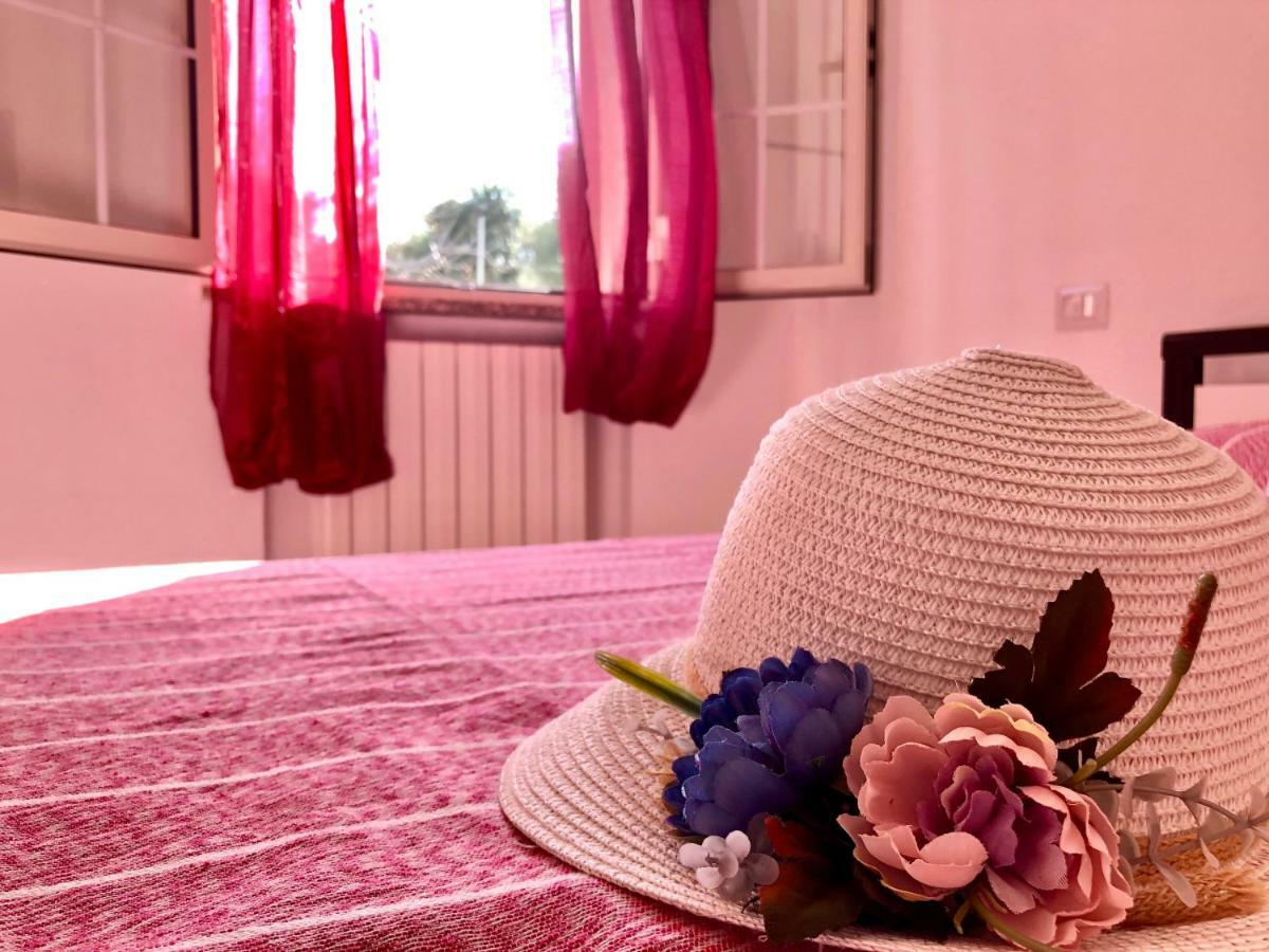 Casa Dolce Hibiscus Apartment Olbia Bagian luar foto